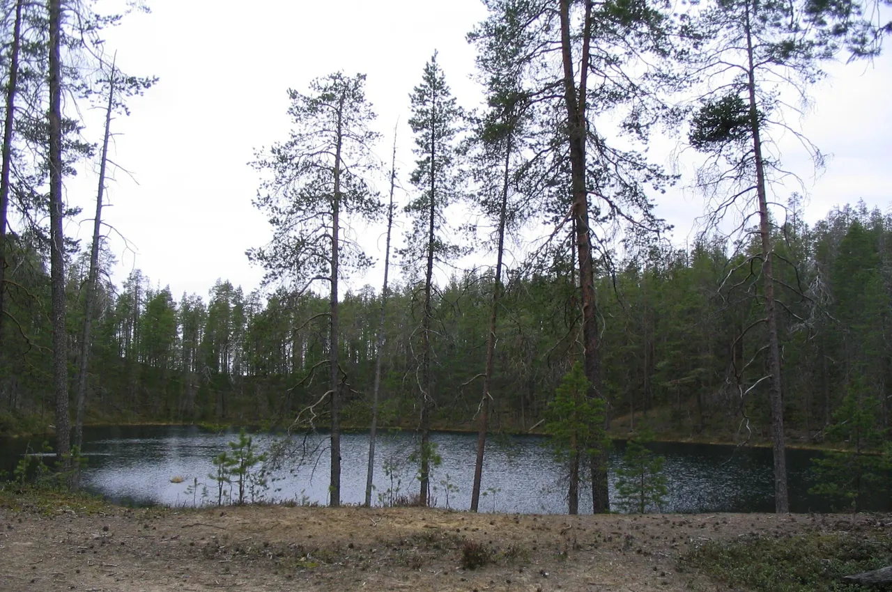 A kettle pond in Finland surrounded by trees, with a distinct bank and reflections on the water