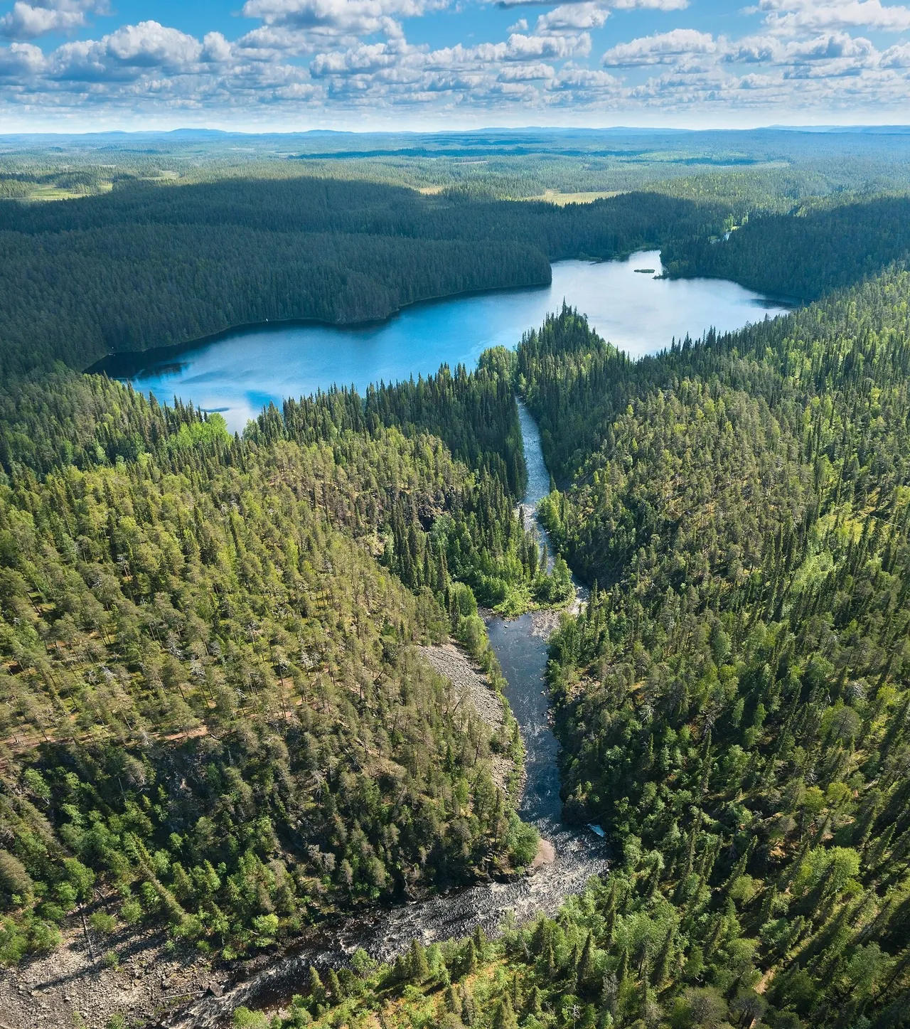 A photograph of the Oulankajoki river meeting Savilampi lake in Finland, between forested banks